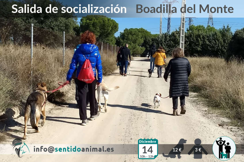 Salida de socialización canina