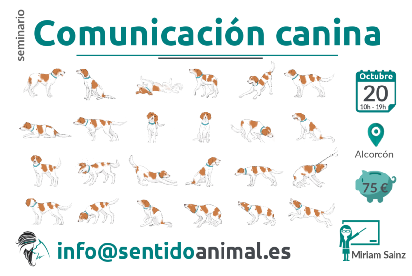 Seminario de Comunicacion canina