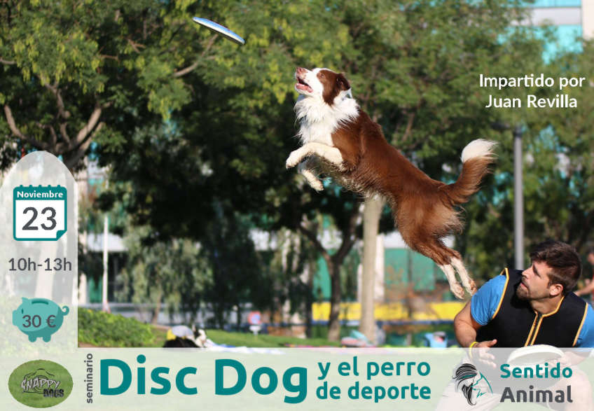 Seminario de disc dog y el perro de deporte