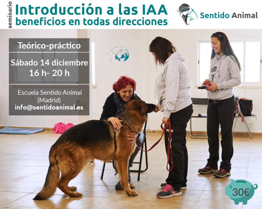 Introducción a las IAA