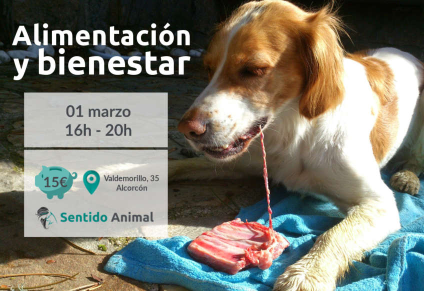 Alimentacion y bienestar