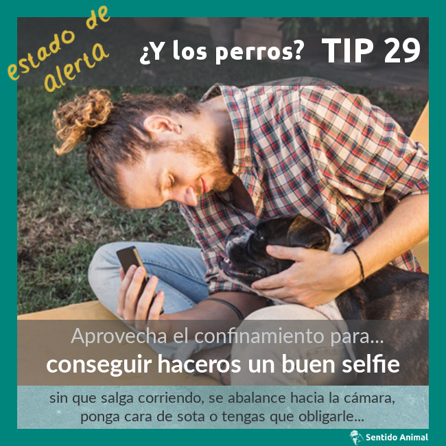 TIP 29 – conseguir haceros un buen selfie – estado de alerta