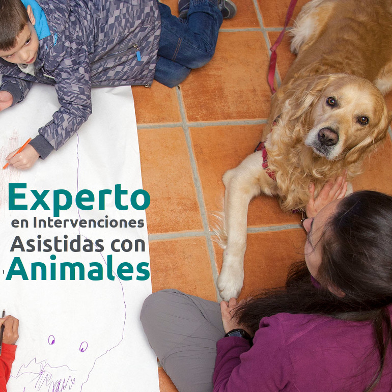 Curso profesional de Experto/a en Intervenciones Asistidas con Animales