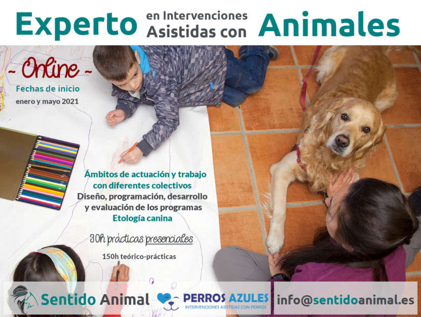 Curso online Técnico en Intervenciones Asistidas con Animales