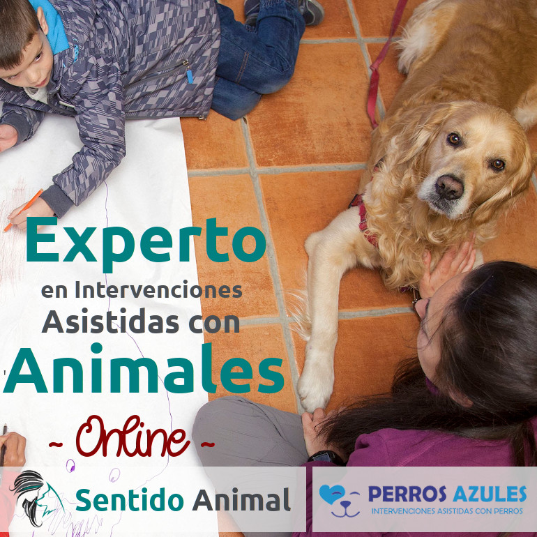 ONLINE – Curso profesional de Experto/a en Intervenciones Asistidas con Animales – oct20