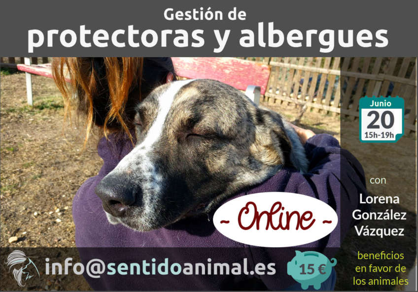 Gestion de Protectoras y Albergues