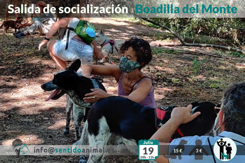 Salida de socialización canina