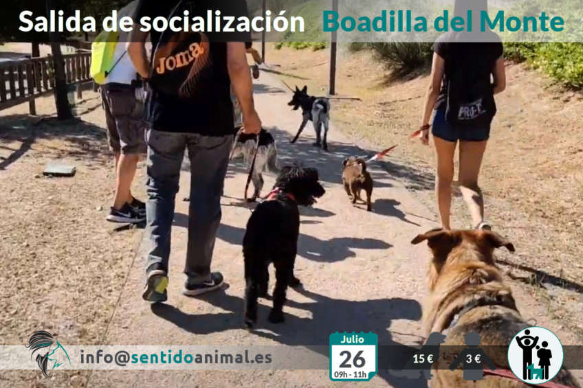 Salida de socialización canina - Boadilla del Monte - Madrid