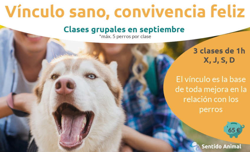 Vínculo sano, convivencia feliz