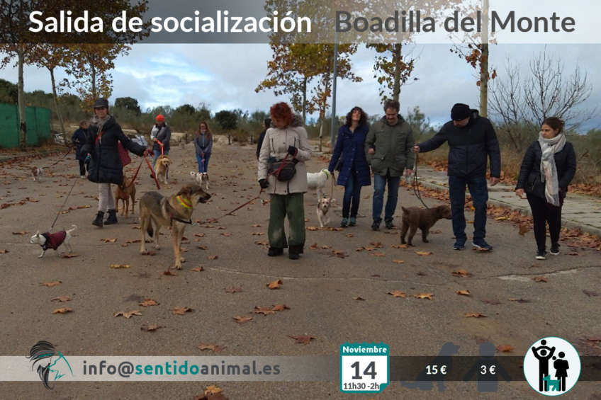 Salida de socialización canina