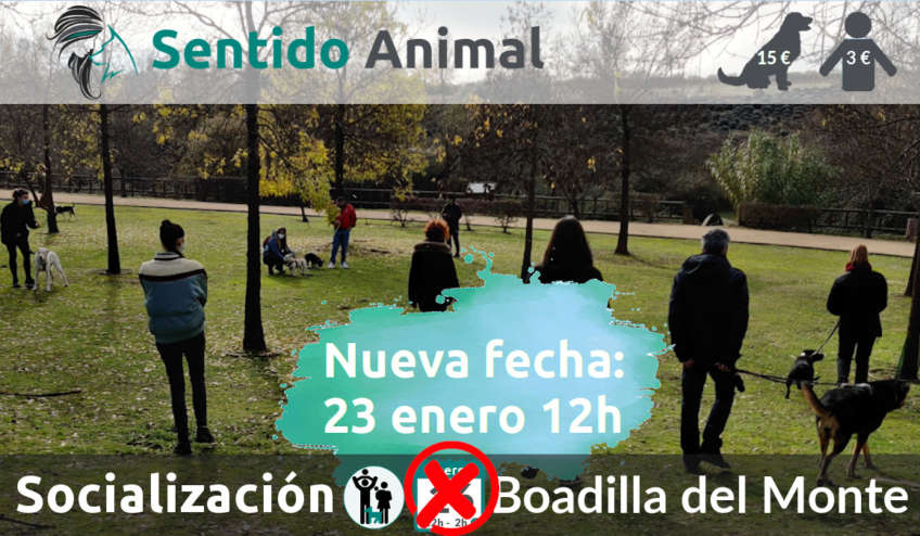 Salida de socialización en Boadilla del Monte - cambio de fecha