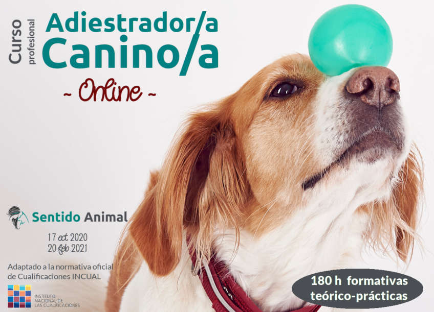 Curso online de Adiestrador Canino