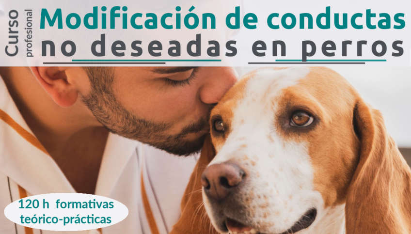 Curso profesional de Modificación de conducta