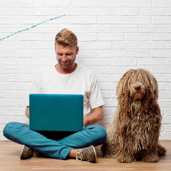 seguimiento online - educación de perros