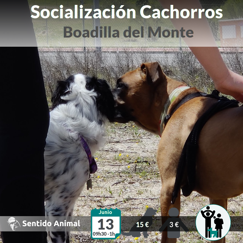 Socialización cachorros – jun21