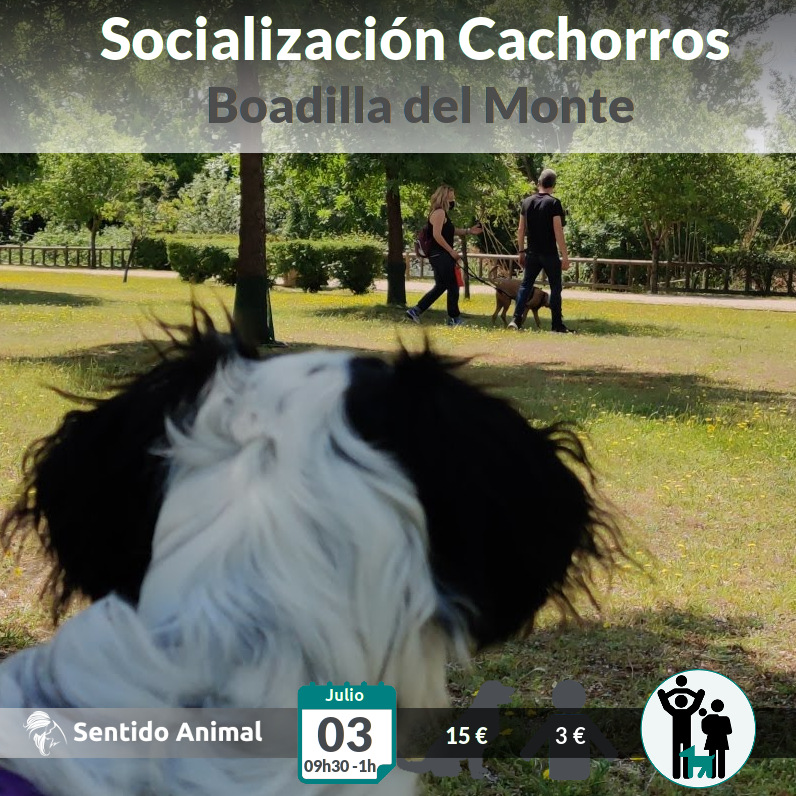 Socialización cachorros – jul21