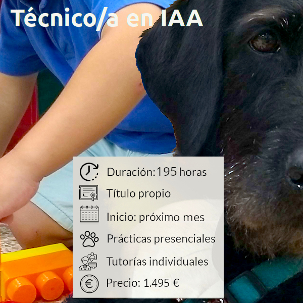 Curso profesional de Técnico/a en Intervenciones Asistidas con Animales – oct22