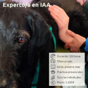 Curso online de Experto en Intervenciones Asistidas con Animales