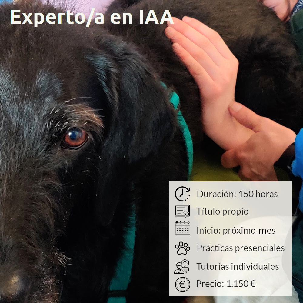 Curso online de Experto en Intervenciones Asistidas con Animales