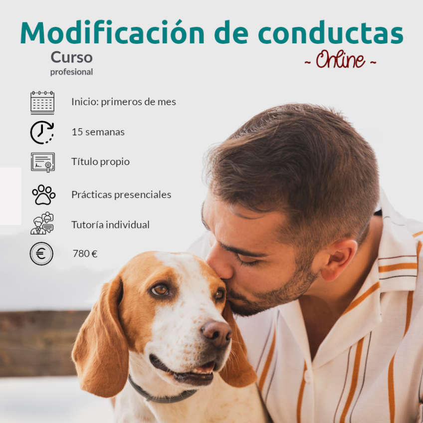 Curso profesional de modificación de conducta canina online