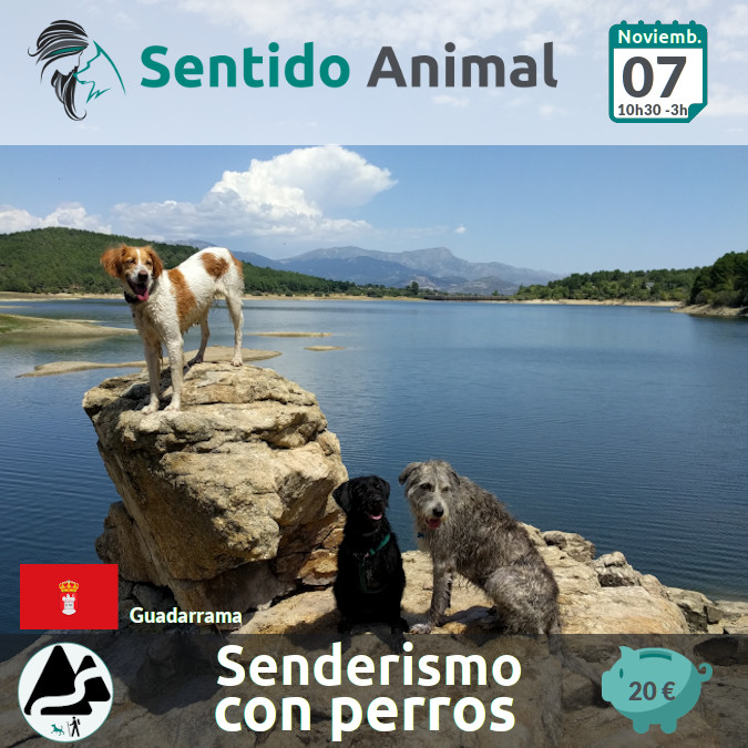 Senderismo_La Jarosa - Noviembre 2021