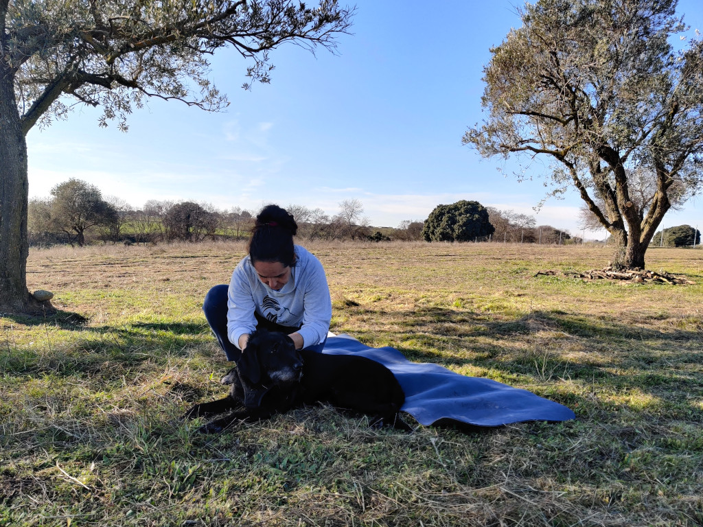 Mujer realizando un masaje a una perra negra grande, tumbada en el césped del Centro Canino de Sentido Animal