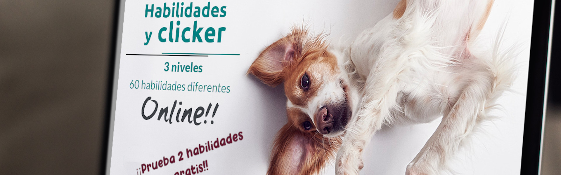 PASIÓN POR LOS ANIMALES, VOCACIÓN POR EL ENTRENAMIENTO Y EL BIENESTAR ANIMAL