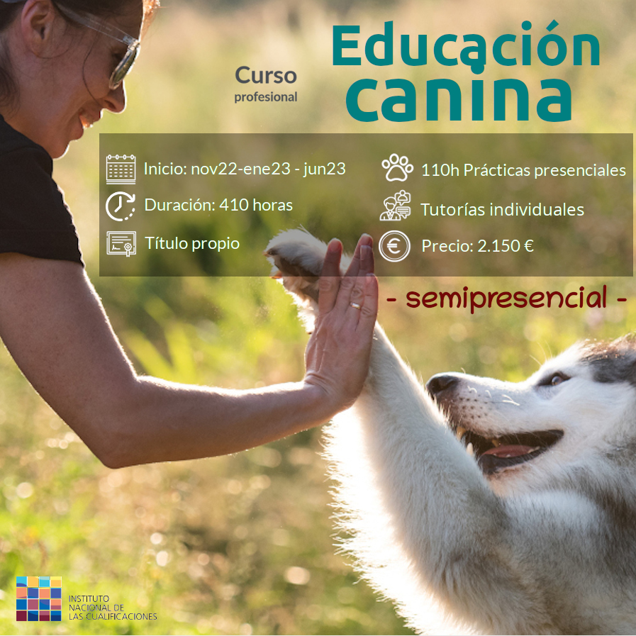 Curso profesional de Educación Canina – nov22