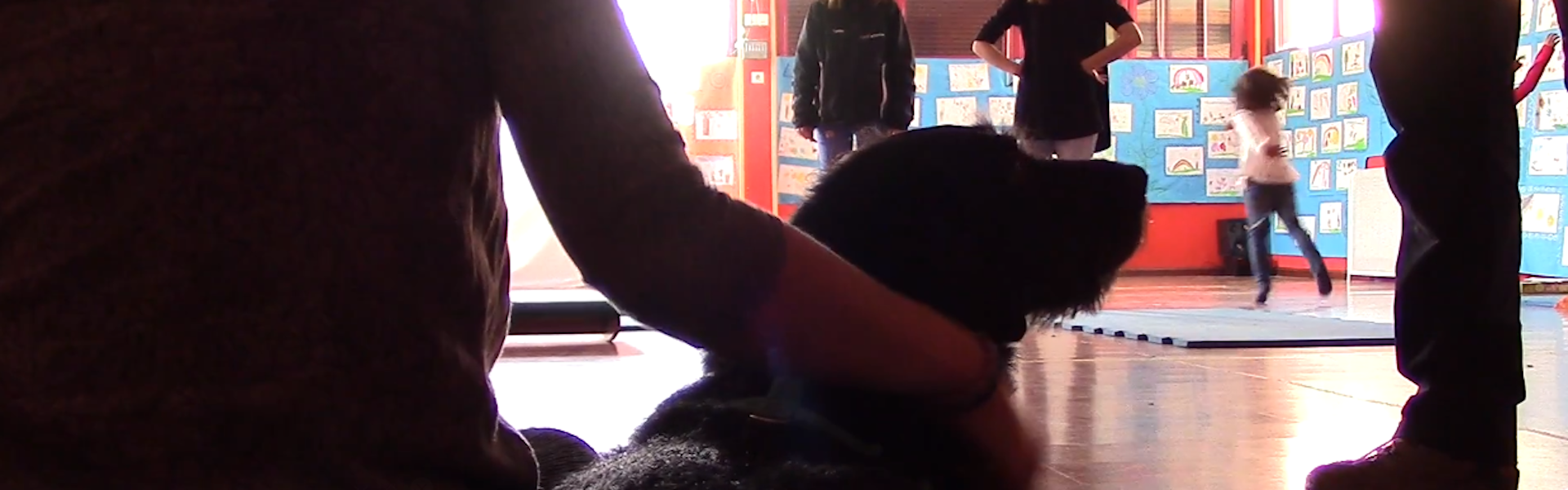 PASIÓN POR LOS ANIMALES, VOCACIÓN POR EL ENTRENAMIENTO Y EL BIENESTAR ANIMAL