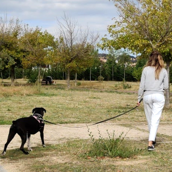 PASIÓN POR LOS ANIMALES, VOCACIÓN POR EL ENTRENAMIENTO Y EL BIENESTAR ANIMAL