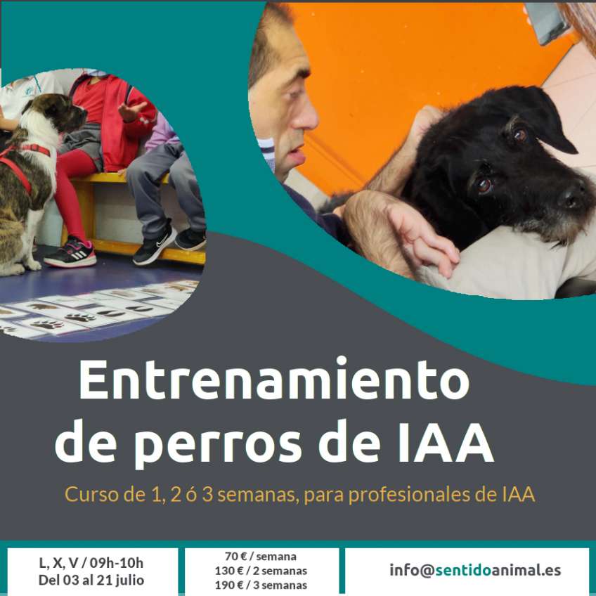 Entrenamiento para perros de terapia