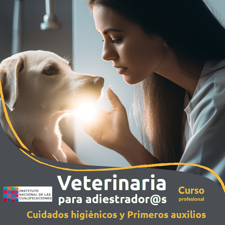 Cartel de curso profesional en que una mujer presta primeros auxilios a un perro blanco de orejas caídas