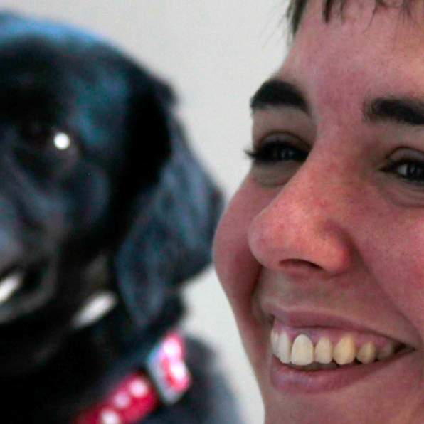 Minipack de adiestramiento canino en Madrid.