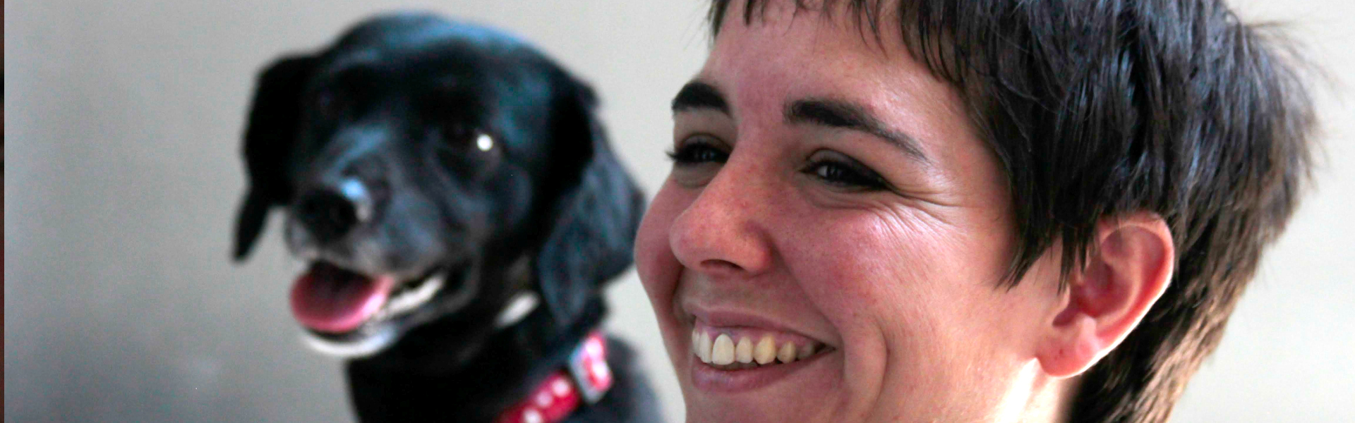 Minipacks de educación canina en Madrid para mejorar el vínculo y la conducta.