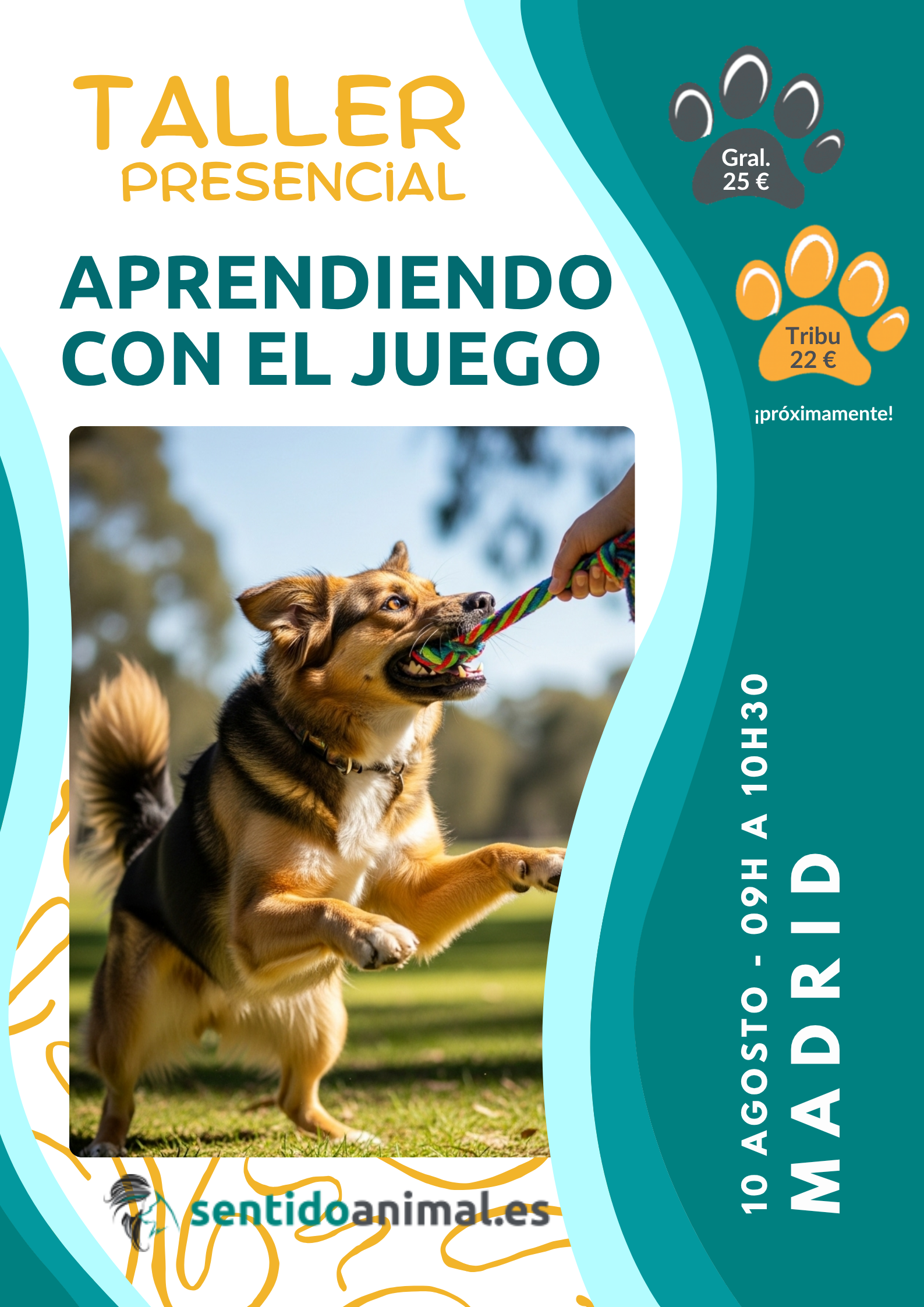 Taller-Juego
