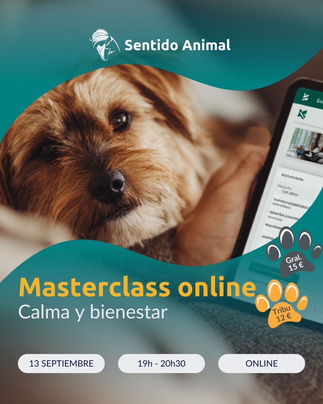 Masterclass-Calma-y-bienestar