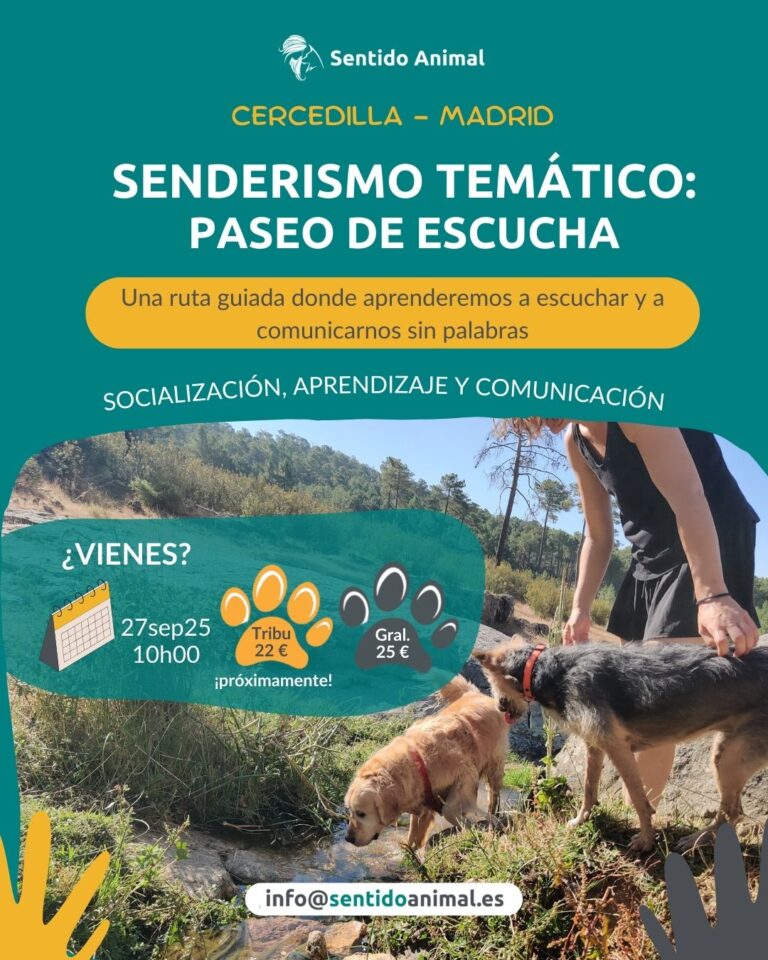 Senderismo Paseo De Escucha