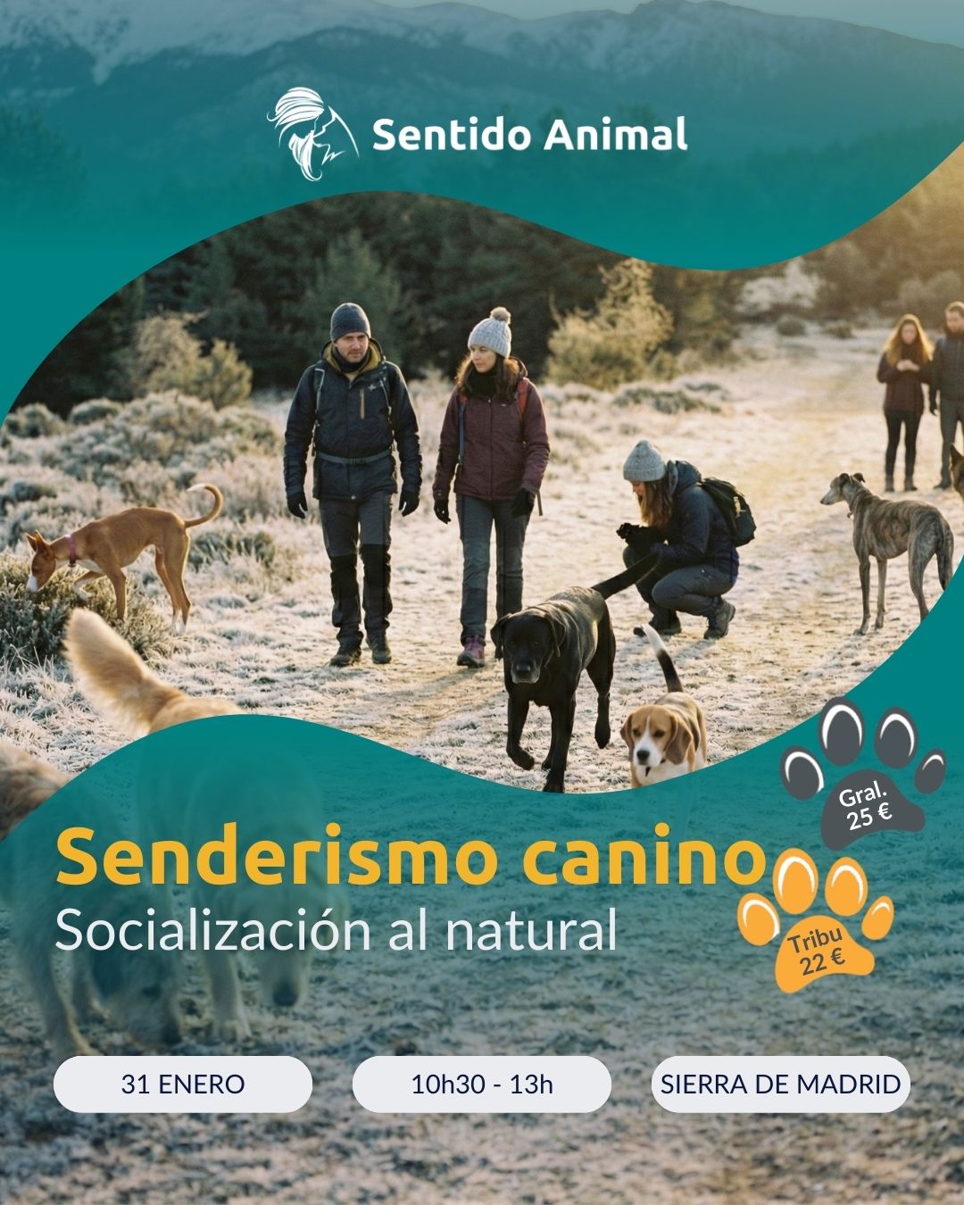 Senderismo con perros en la sierra de Madrid. Varios perros y personas caminando en el monte con el suelo nevado.