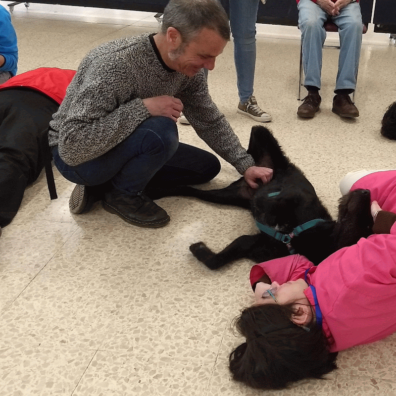 intervención asistida con animales