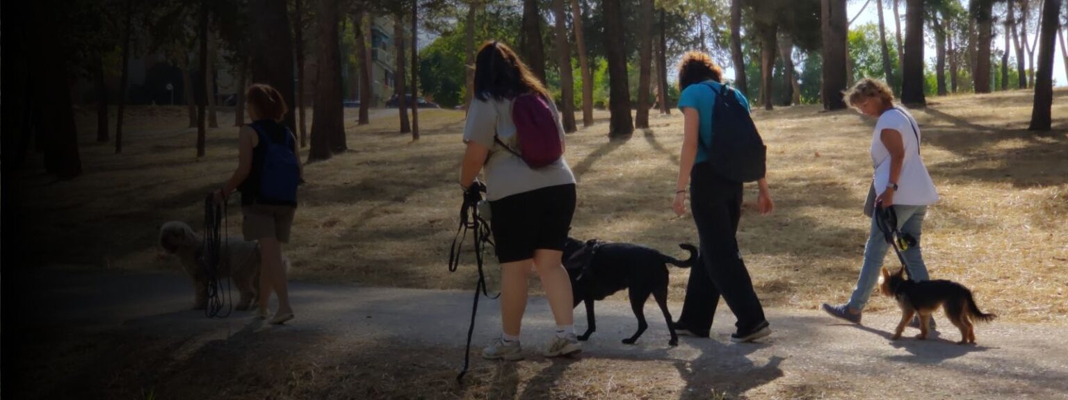 Grupo de personas paseando con sus perras y perros por un pinar durante una salida en grupo