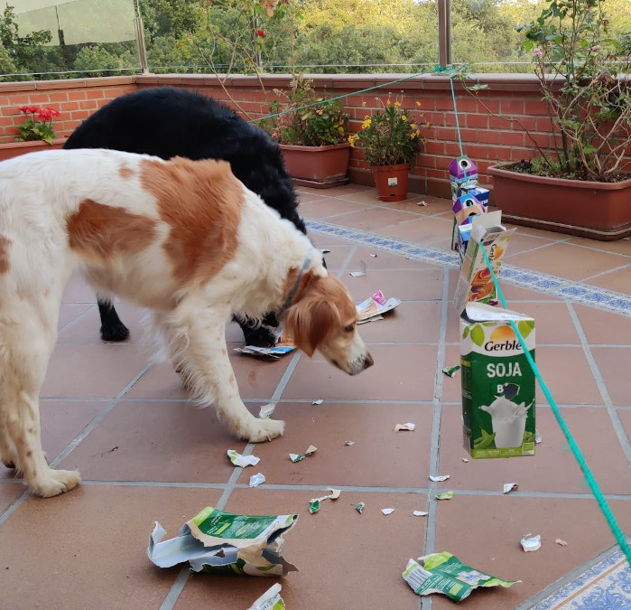 Trenecito canino - juegutes perro estimulación mental
