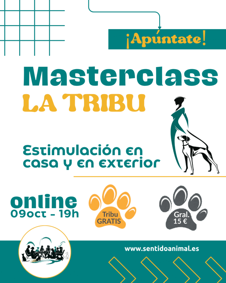 Masterclass Tribu Estimulacion