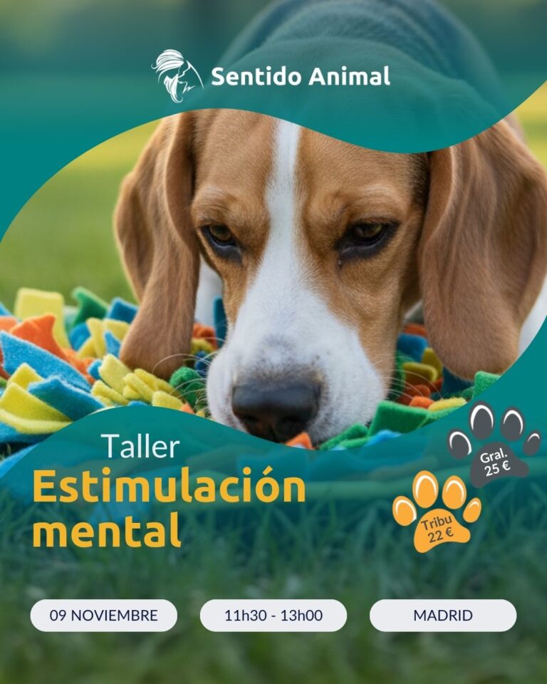 Taller De Estimulación Mental