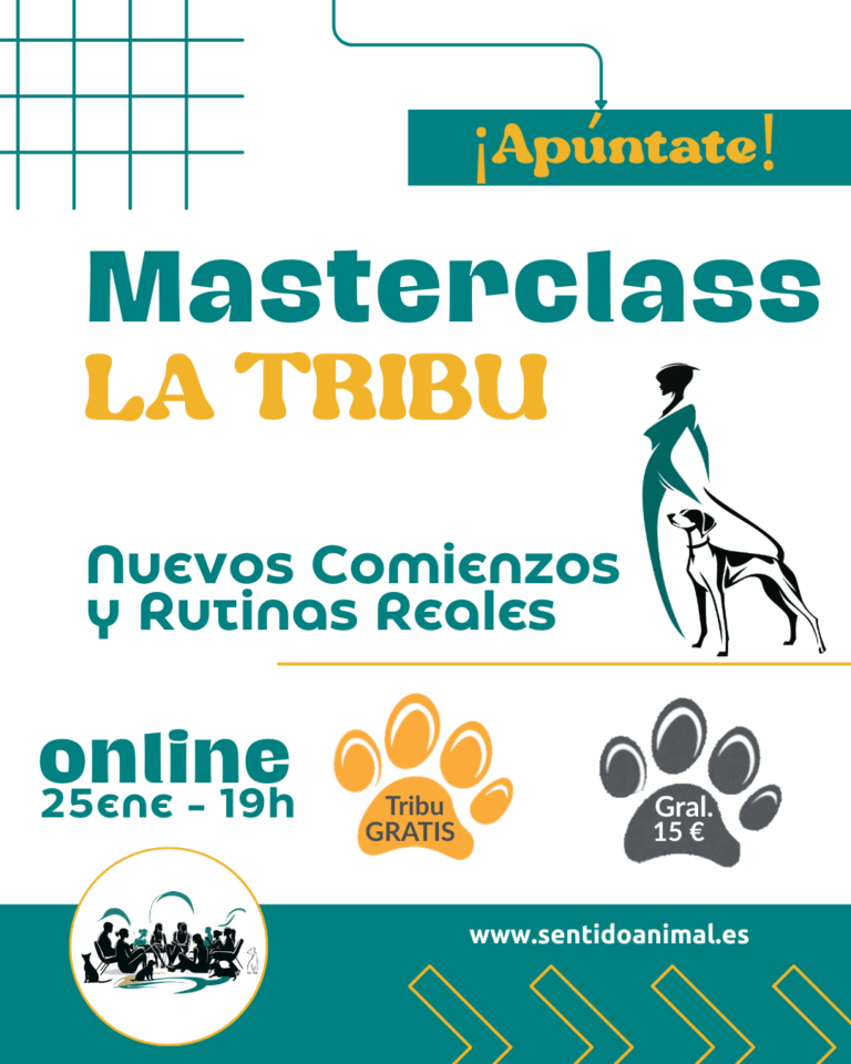 Masterclass Tribu   Nuevos Comienzos