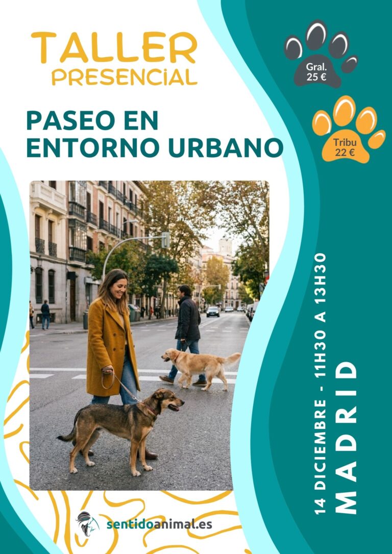 Taller Paseo En Entorno Urbano