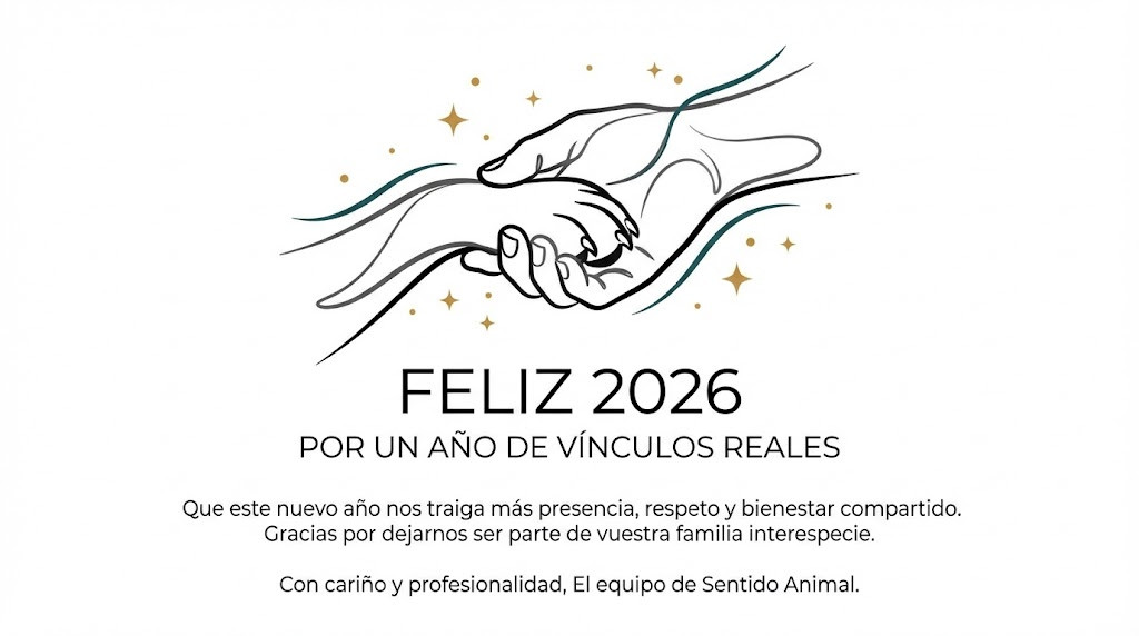 Felicitación de año: 2026