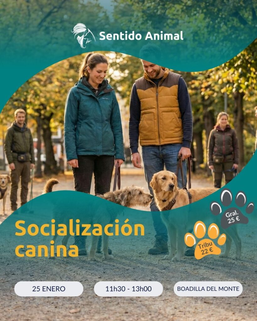 Socialización canina - ene26