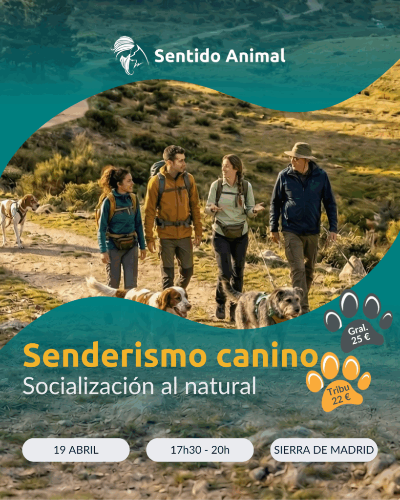 Abril Senderismo Con Perros