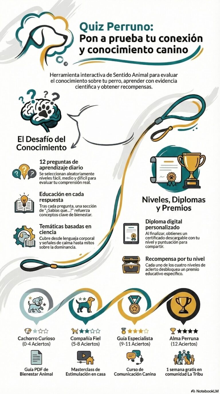 Infografia Quiz Perruno