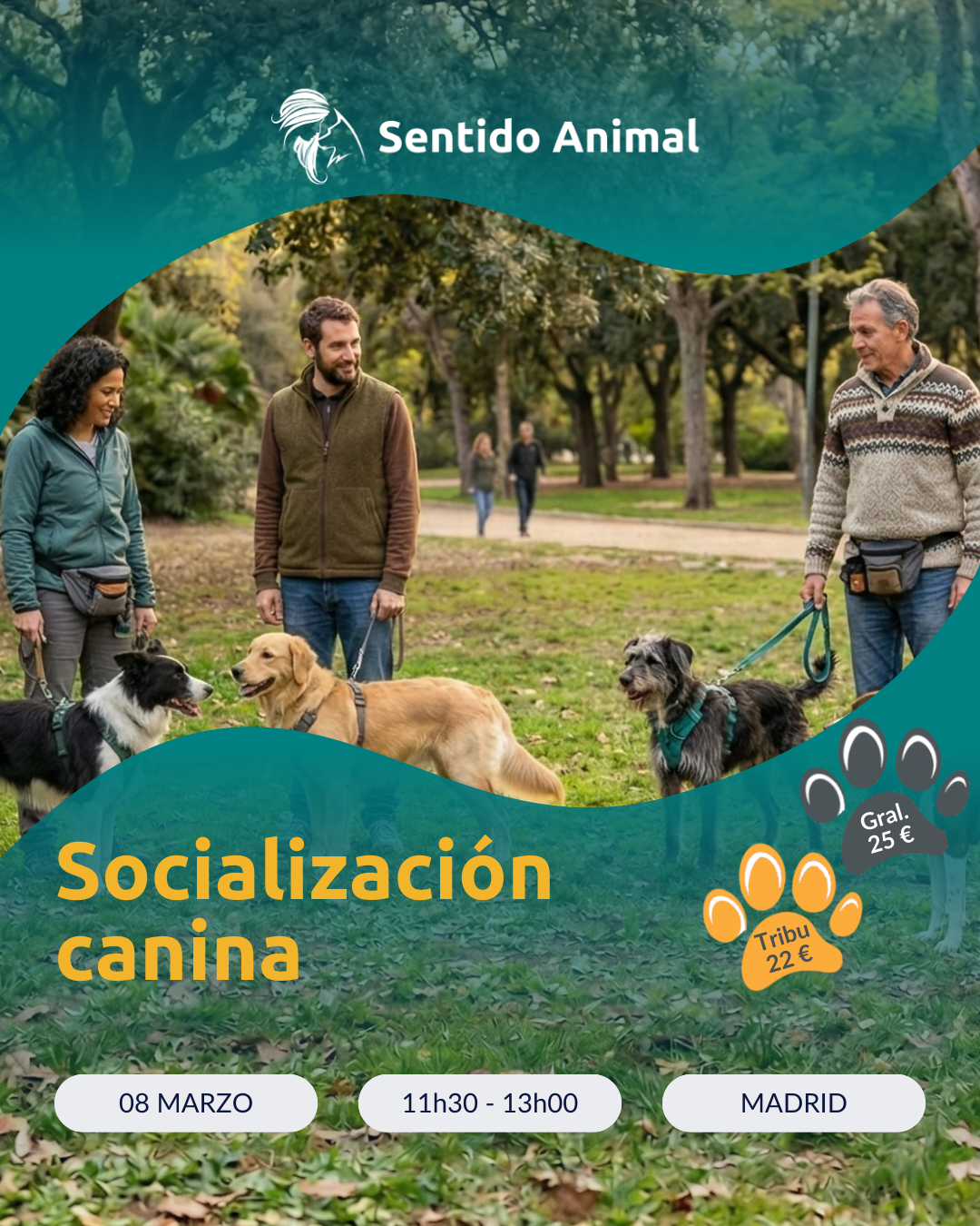 Socialización canina en Madrid - Paseo guiado con educadoras caninas de Sentido Animal